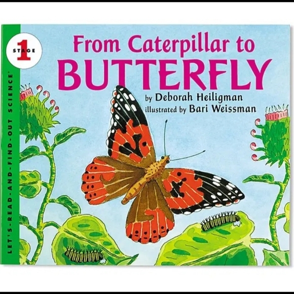 Toy Puppet Caterpillar/Butterfly Retired Vintage Reversible By Folkmanis - Picture 5 of 16